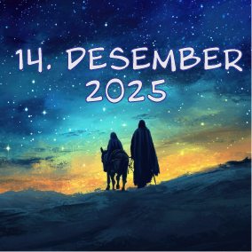 Adventskalender - 14. desember